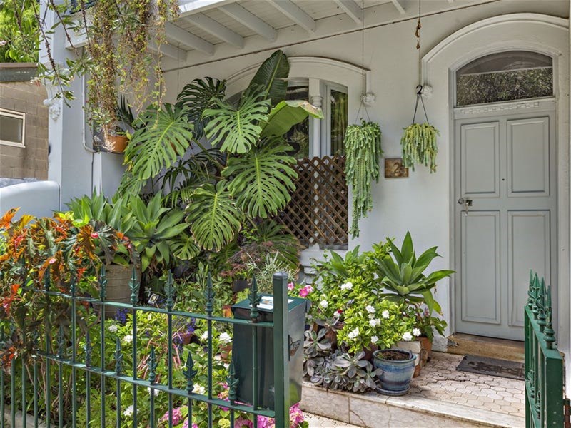 2 Don Street NEWTOWN NSW